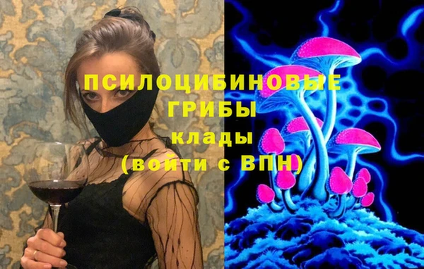 МДМА Алексеевка