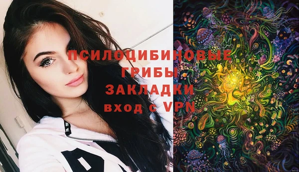 МДМА Алексеевка
