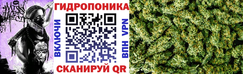 Марихуана сатива  магазин продажи наркотиков  Оханск 